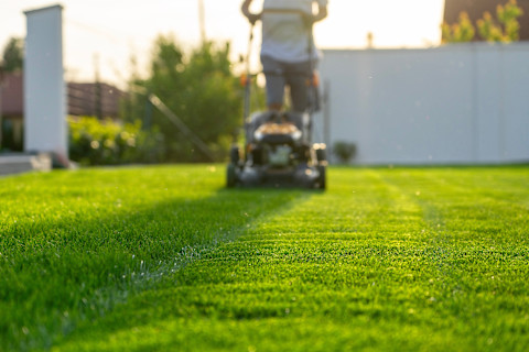 When to mow lawn 3