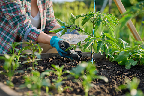 garden fertilizer 3