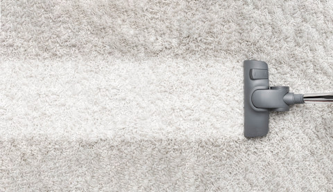 The head of a vacuum cleaner runs across a dirty white carpet. In its wake, it leaves behind a clean strip, which stands out on the dirty white carpet.