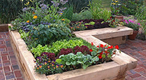 Raised Garden Bed