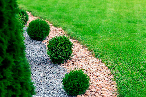 garden edging 2