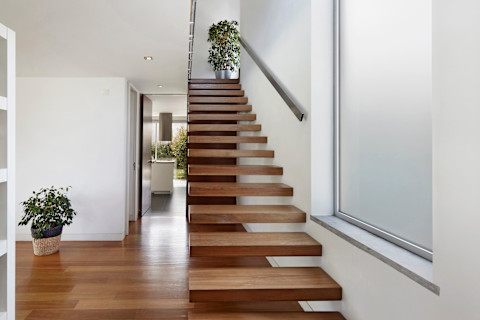 This image shows a staircase with wooden floating stairs and wooden flooring in a mid-brown tone. There are two plants in the midground of the image.