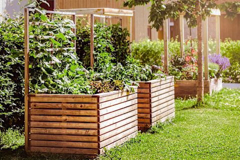 wooden-planters