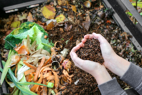 Organic gardening 2