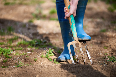 Gardening in April 2