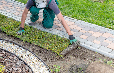 Garden Landscaper is adding grass to a garden