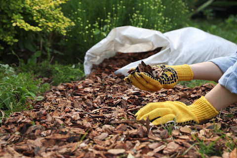 mulching 3