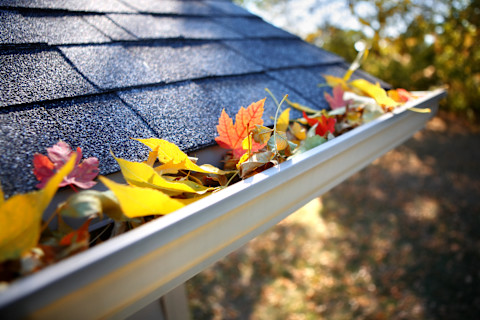 Gutter cleaning guide 3