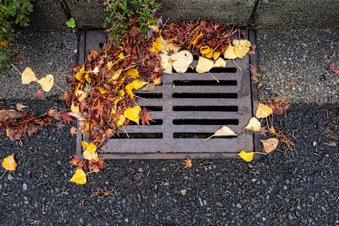 Clear blocked drain 2