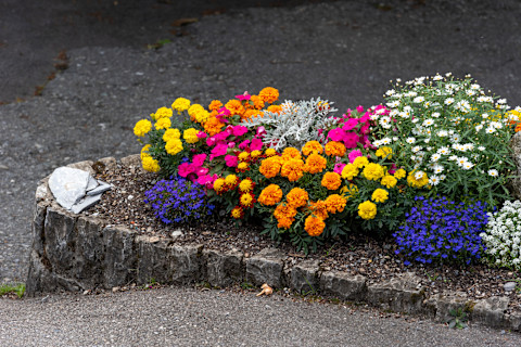 garden-corner-flowerbed