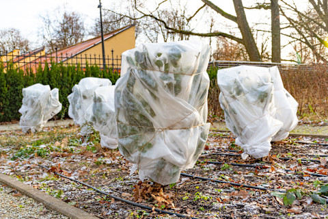 garden jobs in November 3