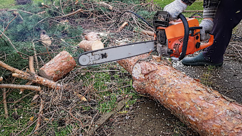 chainsawing-tree-trunk