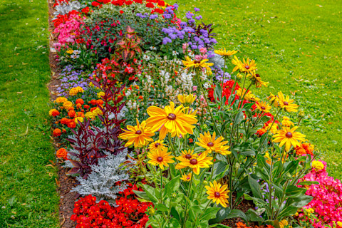 park-flowerbed