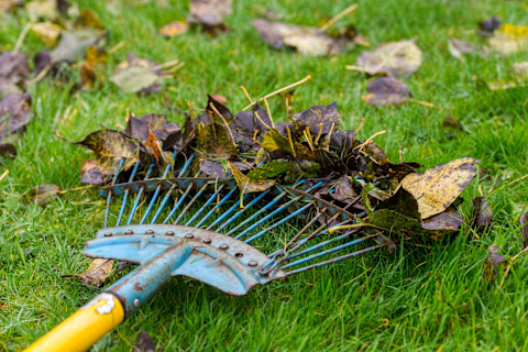 How to Mow a Lawn 2