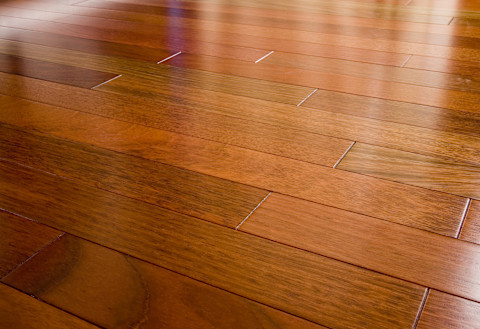 Brazilian cherry hardwood floor shining in the sun.