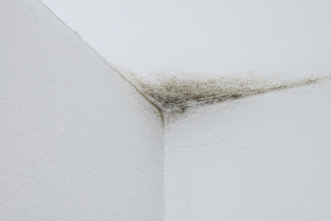 Ceiling stain 1