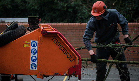 How Much Does Tree Removal Cost In 2024? - MyBuilder