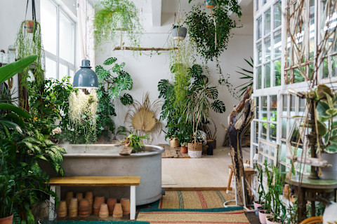 indoor-garden
