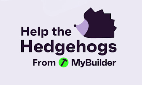 Campaign image for the help the hedgehogs campaign of MyBuilder