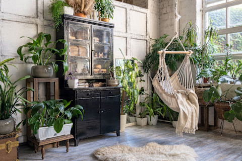 This image shows a rustic living room with a rope swing and an abundance of green potted plants.