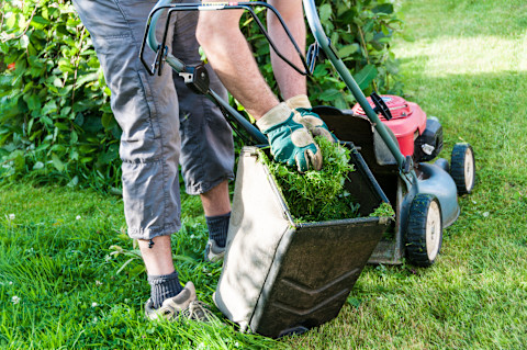 This image shows a person mowing a well-maintained lawn with a petrol lawn mower on a sunny day in a residential garden.