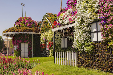 A cottage with an expansive lawn with flowers in the garden. The cottage has a green living roof covered in multicoloured flowers.