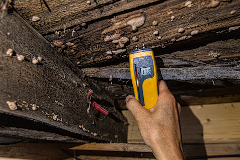 A male hand holds a handheld digital moisture measuring device, which displays 17.5, a moderate to high level of moisture. The device is held up to the underside of wood flooring and support joists that are covered in white fungi.