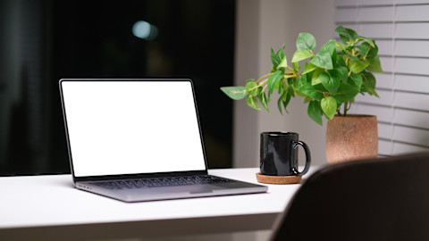 A desk with a cup, laptop and a plant.