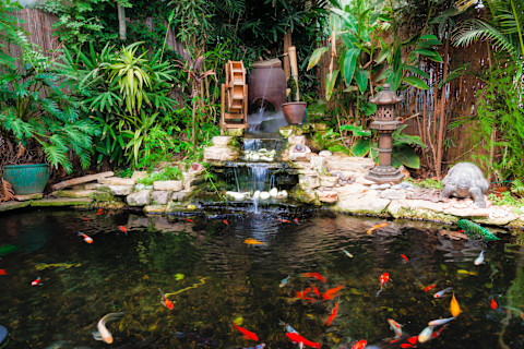 decorative-pond-with-fish