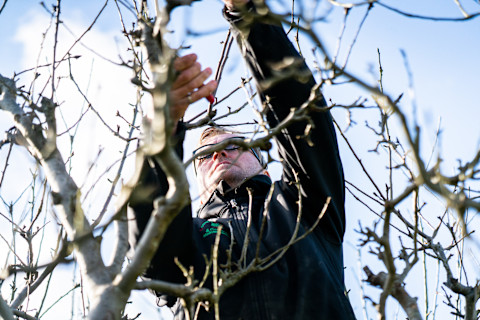 Feb Garden Jobs