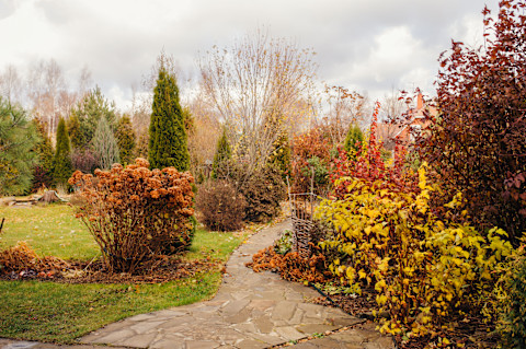 November garden