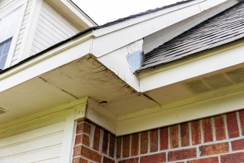 Damaged fascia and soffit