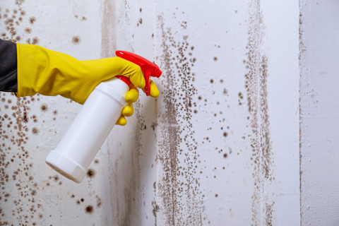 Wall clean 1