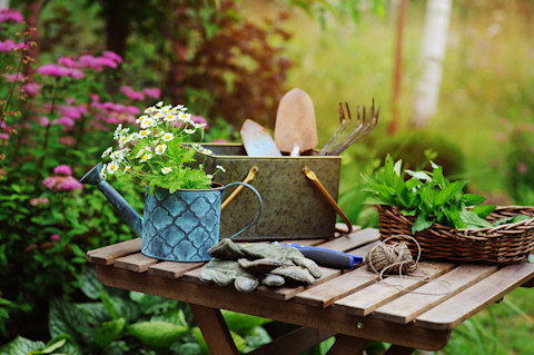 This image shows gardening tools and summer flowers, including camomile, arranged on top of a table in a bright outdoor garden setting.