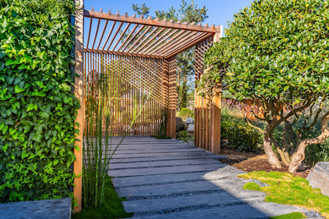 A wooden pergola in a backyard, providing shaded seating with climbing plants growing on its beams, surrounded by a well-maintained garden and patio area.