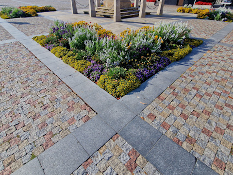 A flower bed inbetween tiles