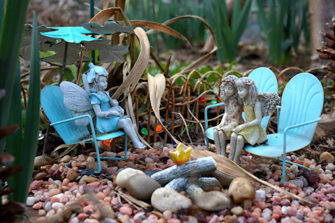 Fairy garden 2