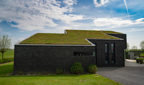 This image shows a modern house featuring a living roof covered with lush green vegetation, blending seamlessly into its natural surroundings. The contemporary design includes clean lines, large glass windows and a minimalist aesthetic.