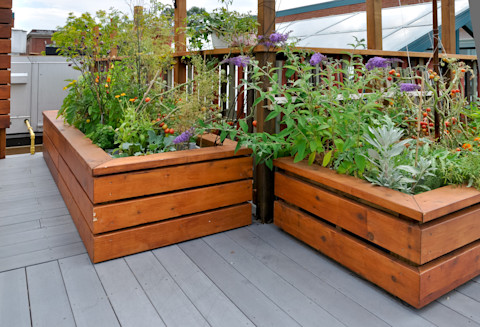 raised flower bed 3