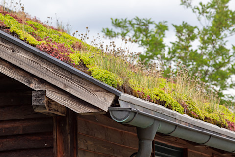 wooden-green-roof