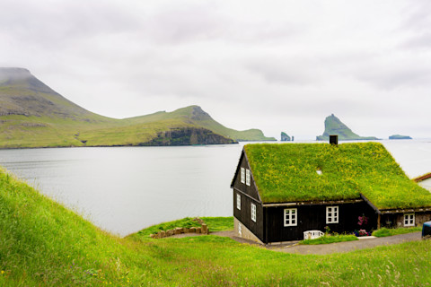 Living roof on house by water