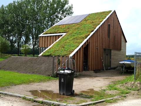 living-roof-house