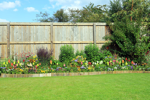 garden fence 2