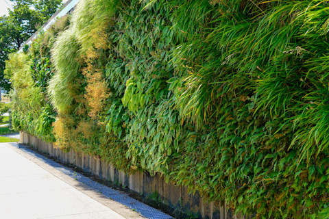 Garden Fence Ideas 5 (1)