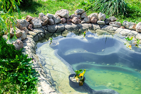 Raised Pond
