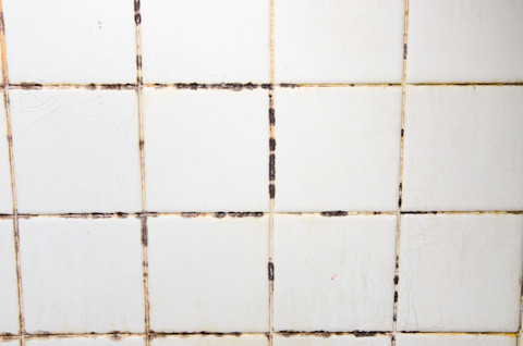 mouldy-tiles-on-bathroom-wall