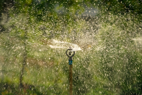 water-sprinkler