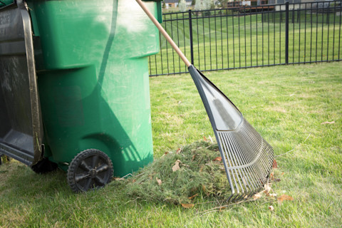 rake-and-bin