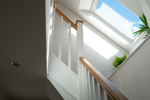 This image shows an abstract view of a newly installed loft conversion with a skylight window, showing timber staircase bannisters and two green plants on the window sill.