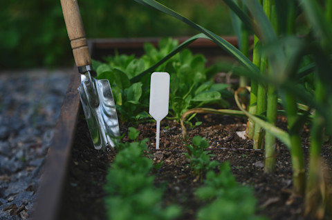 vegetable-plant-marker